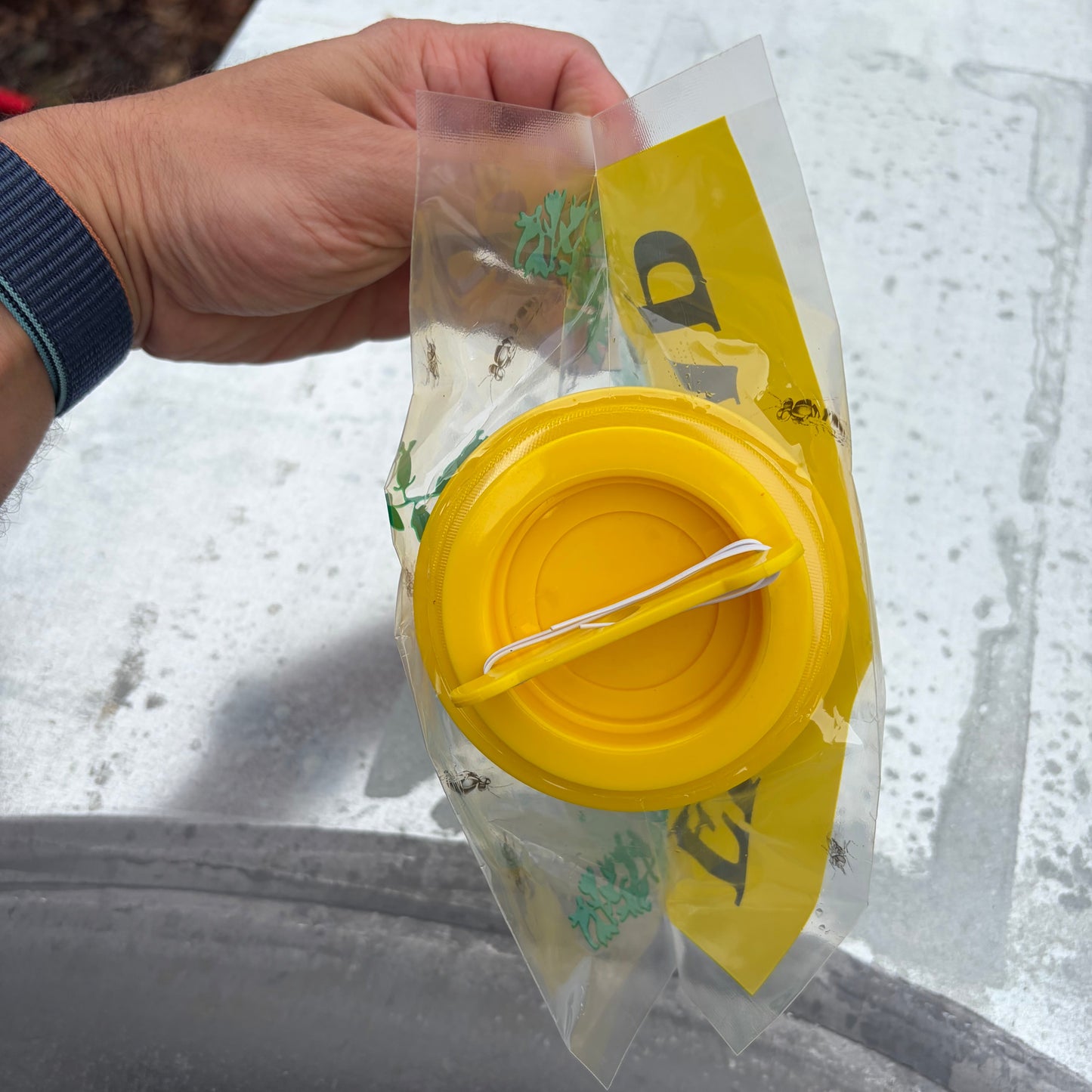 Hand holding a clear plastic bag with a yellow lid over a white surface